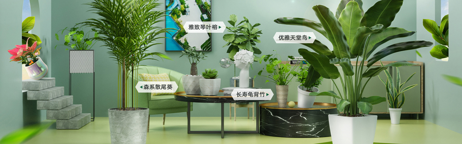 首頁(yè)綠植租擺